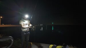 石破首相の支持率より私達の釣りモチベーションが下がり...