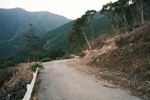 大規模な崩壊地にでた