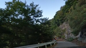 池の茶屋林道を走る