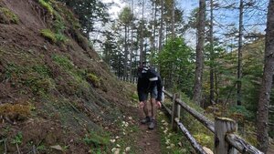 池の茶屋林道からトレッキングルートの実際の状況