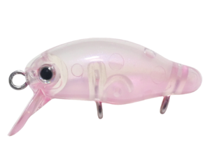 寝坊助はスミスのカディス買いました