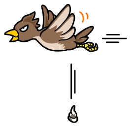 鳥の糞から外来種？